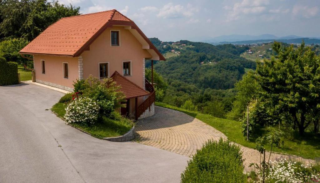 Apartamento Planinca -Hisa Z Razgledom Smarje pri Jelsah Exterior foto
