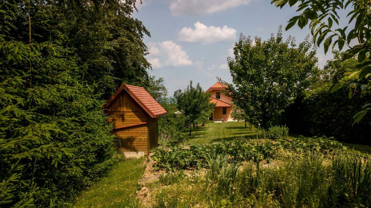 Apartamento Planinca -Hisa Z Razgledom Smarje pri Jelsah Exterior foto